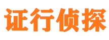 隆安市私家侦探